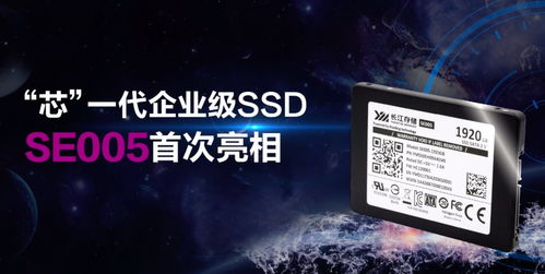 长江存储发布新一代企业级固态硬盘SE005 1920GB，读取速度达530MB/s